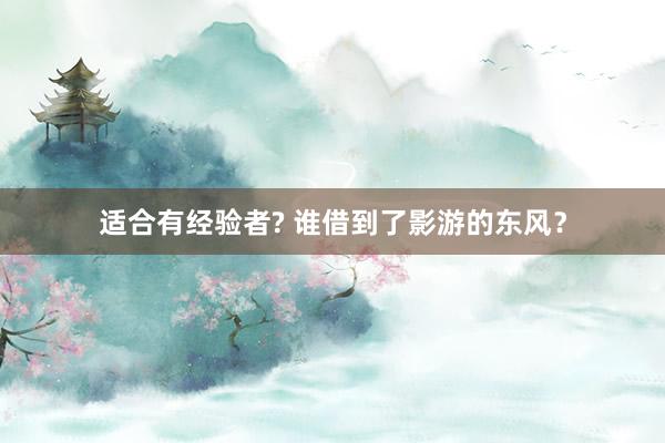 适合有经验者? 谁借到了影游的东风？