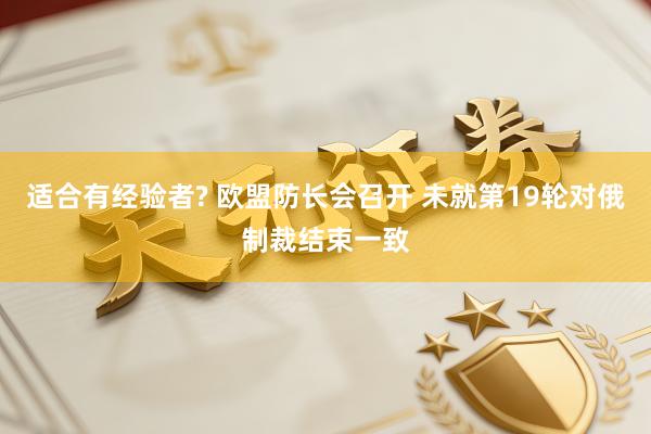 适合有经验者? 欧盟防长会召开 未就第19轮对俄制裁结束一致
